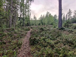Vakantiehuis Grängesberg  11
