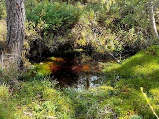 Holiday house Grängesberg  12