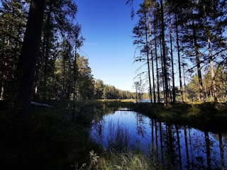 Ferienhaus Grängesberg  9
