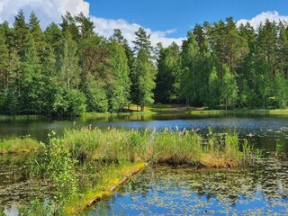 Maison de vacances Grängesberg  18