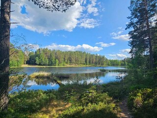 Casa de vacaciones Grängesberg  8