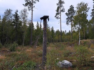 Casa per le vacanze Grängesberg  36