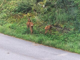 Holiday house Bengtsfors  23