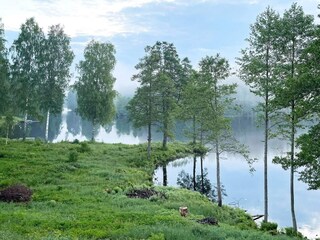 Holiday house Bengtsfors  21