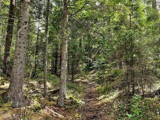 Vakantiehuis Ambjörnarp  19