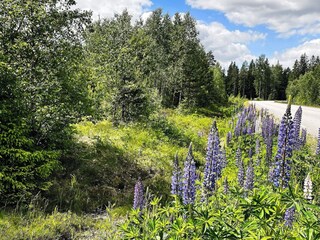 Vakantiehuis Ambjörnarp  18