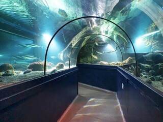 Maison de vacances Lysekil  16