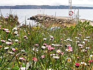 Ferienhaus Lysekil  18
