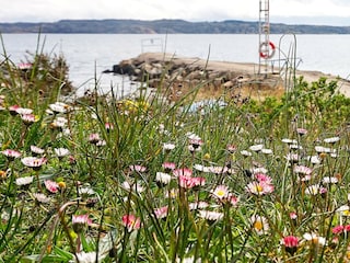 Vakantiehuis Lysekil  16