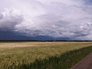 Holiday house Falkenberg (Schweden)  16