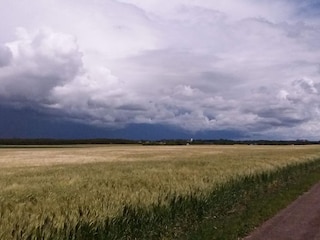 Vakantiehuis Falkenberg (Schweden)  16