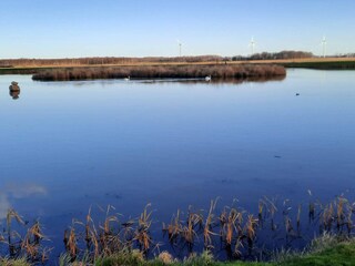 Maison de vacances Falkenberg (Schweden)  17