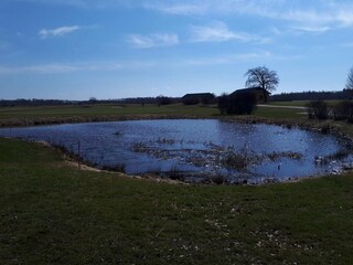 Vakantiehuis Falkenberg (Schweden)  36