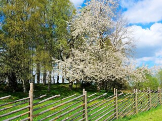 Vakantiehuis Sandhem  17