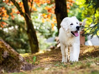 Casa per le vacanze Sälen  9