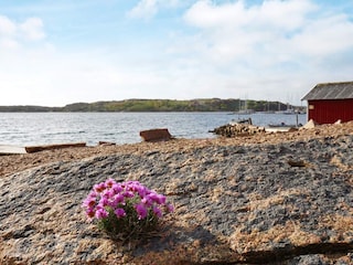 Ferienhaus Hunnebostrand  37