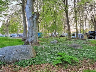 Maison de vacances Hörvik  18