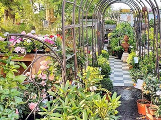 Casa per le vacanze Glemmingebro  50