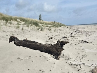 Casa de vacaciones Glemmingebro  11