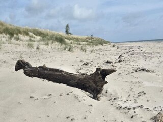 Vakantiehuis Glemmingebro  13