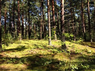 Casa per le vacanze Glemmingebro  12