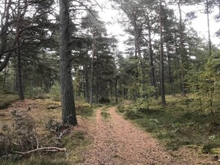 Vakantiehuis Glemmingebro  48