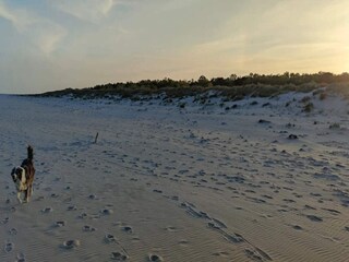 Casa per le vacanze Glemmingebro  34