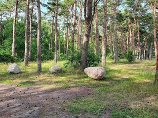 Vakantiehuis Glemmingebro  39