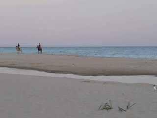 Casa per le vacanze Glemmingebro  39