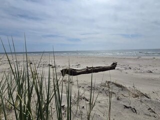 Ferienhaus Glemmingebro  51