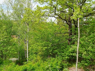 Holiday house Stockholm Outdoor Recording 5