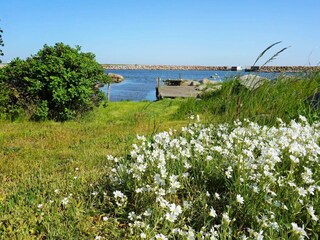 Vakantiehuis Hällevik Buitenaudio-opname 4