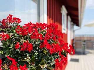 Holiday house Onsala Outdoor Recording 11