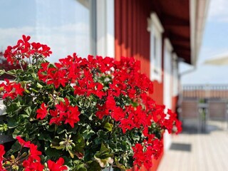 Vakantiehuis Onsala Buitenaudio-opname 4