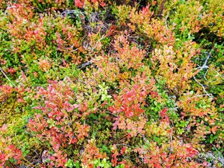 Vakantiehuis Sälen  11