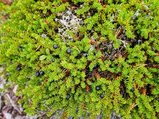 Maison de vacances Sälen  16