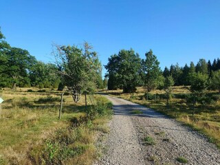 Casa per le vacanze Kvillsfors  22