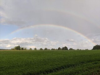 Maison de vacances Kvillsfors  21