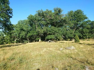 Casa per le vacanze Kvillsfors  26