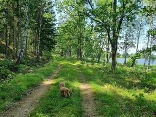 Ferienhaus Kvillsfors  10