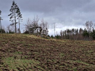 Ferienhaus Kvillsfors  13