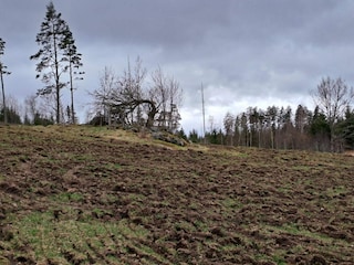 Vakantiehuis Kvillsfors  7