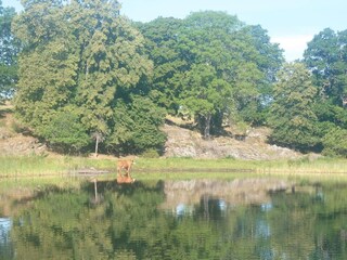 Holiday house Kvillsfors  5