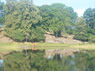 Vakantiehuis Kvillsfors  38