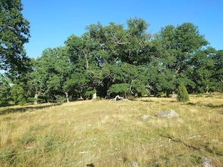 Holiday house Kvillsfors  27