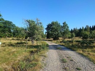 Holiday house Kvillsfors  28