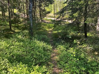 Ferienhaus Bankeryd  28