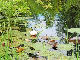 Holiday house Tingsryd Outdoor Recording 1