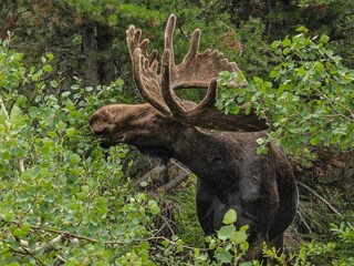 Vakantiehuis Klavreström  15