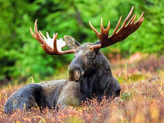 Vakantiehuis Klavreström  27